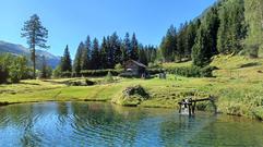 Holiday cottage 204553 for 6 persons in Rauris