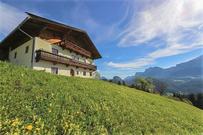Holiday cottage 223940 for 14 persons in Lofer