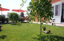 Holiday cottage 465443 for 6 persons in Buje