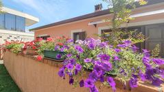 Ferienwohnung 765688 für 2 Personen in Novigrad