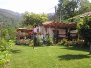 Ferienhaus 86703 für 2 Personen in Ponte de Lima